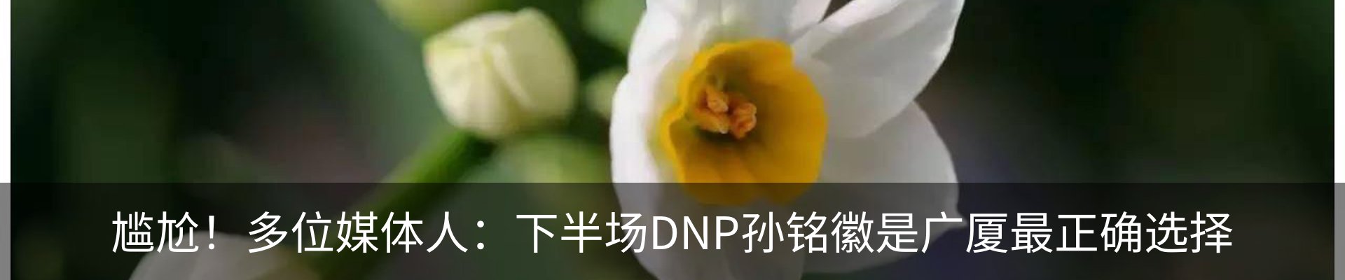 新闻动态