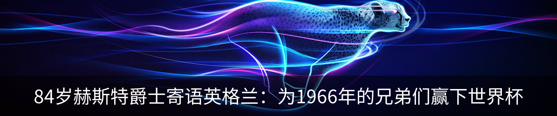 新闻动态